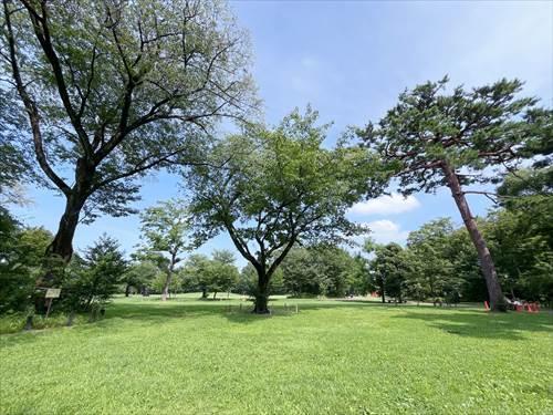 区立柏の宮公園まで420m