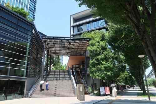 GREEN　SPRINGS(1420m)