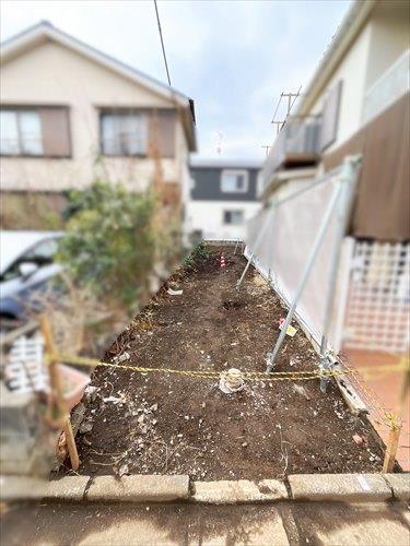 現地写真(2026年2月撮影)