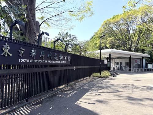 神代植物公園(1100ｍ)