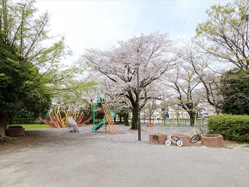 並木公園(300m)
