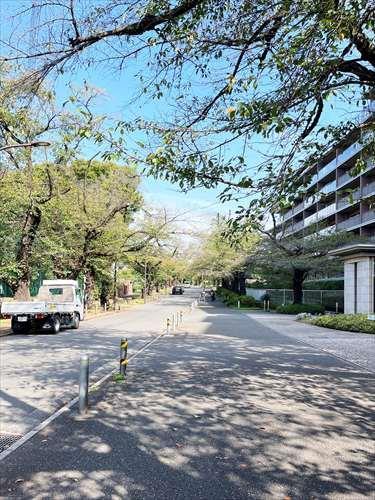 現地前道路
