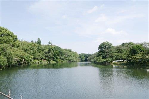 井の頭恩賜公園(1240m)