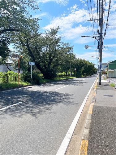現地前道路（南側）