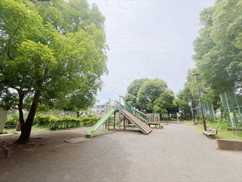 上水南公園(500ｍ)