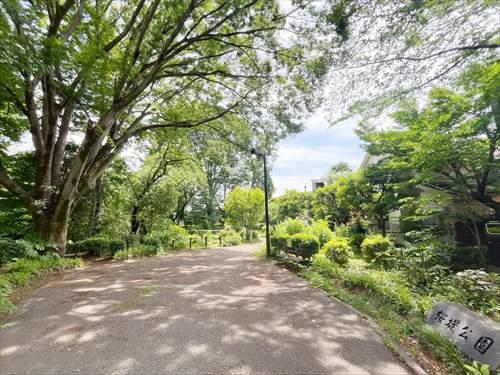 桜堤公園(900ｍ)