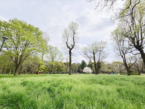 小金井公園(90ｍ)