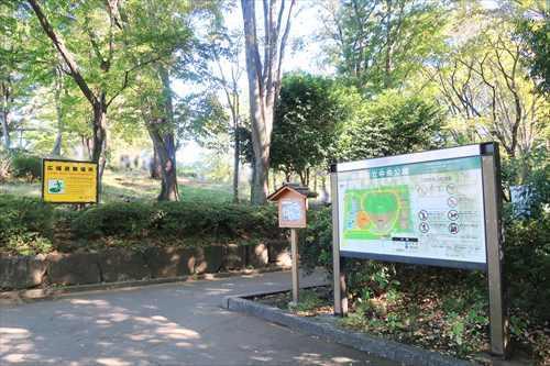 小平市立中央公園(430m)