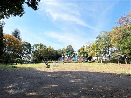 鶴亀松公園(500m)