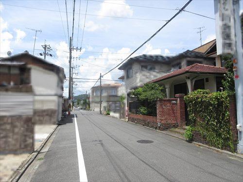 現地写真（2024年7月撮影）