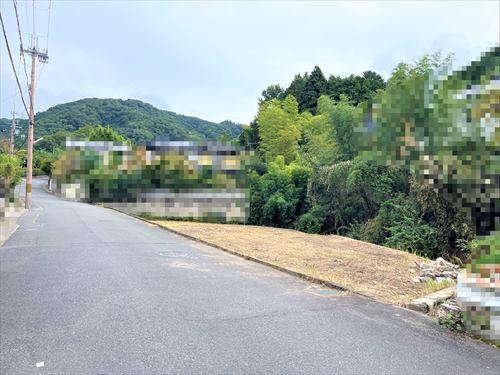 全体現地写真(2025年11月撮影)