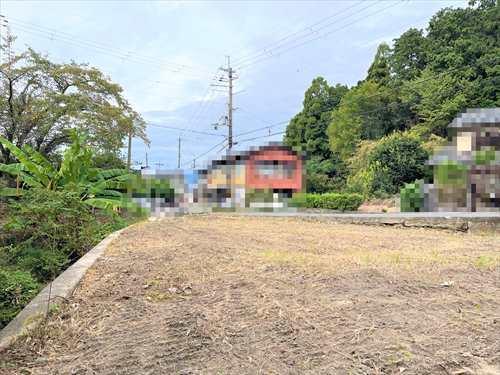 A号地(2025年11月撮影)