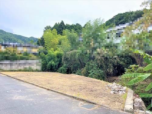 全体現地写真(2025年11月撮影)