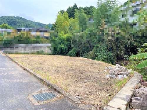 全体現地写真(2025年11月撮影)