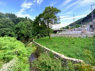 現地写真：2023年7月15日撮影