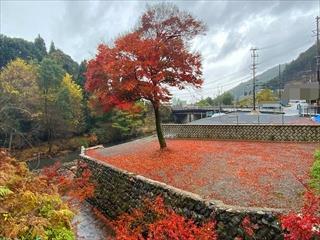 現地写真：2022年11月23日撮影