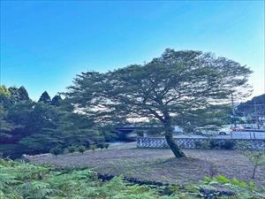 現地写真11
