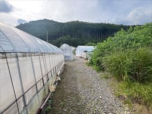 現地写真（2026年9月時点）