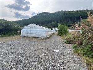 現地写真（2026年9月時点）