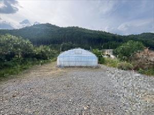 現地写真（2026年9月時点）