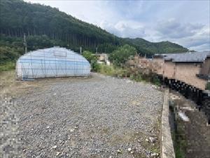 現地写真（2026年9月時点）