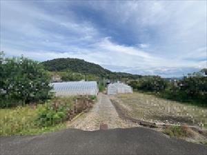 現地写真（2026年9月時点）