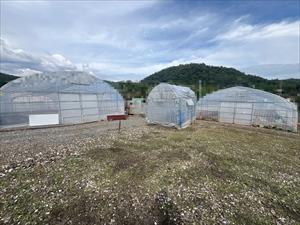 現地写真（2026年9月時点）