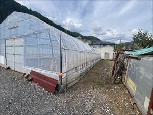 現地写真（2026年9月時点）