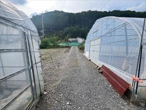 現地写真（2026年9月時点）