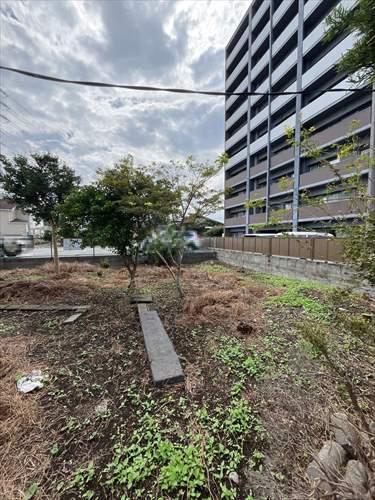 現地写真 9 現地写真 9