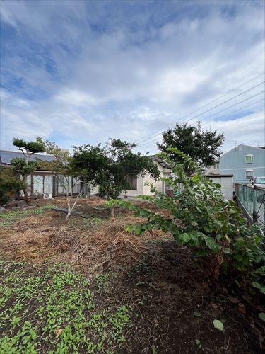 現地写真 10 現地写真 10