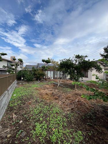 現地写真 11 現地写真 11