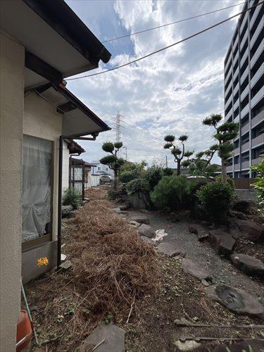 現地写真 6 現地写真 6