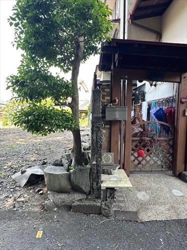 北側境界線付近（道路から）