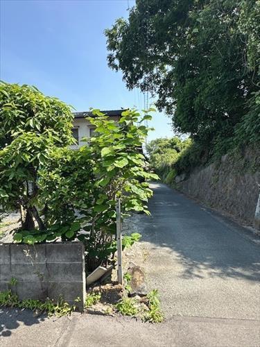 道路境界線付近（南側から）