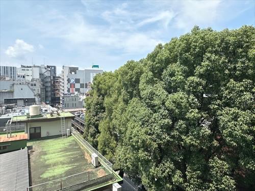 バルコニーからの眺望２