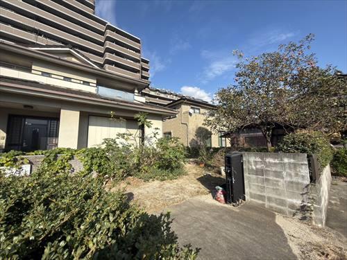 現地（2025年11月撮影）