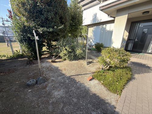 現地（2025年11月撮影）