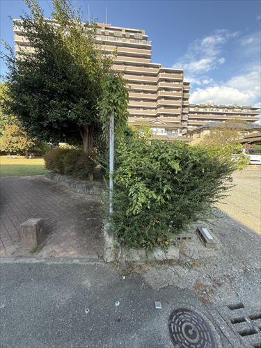 境界線（南西→北西）