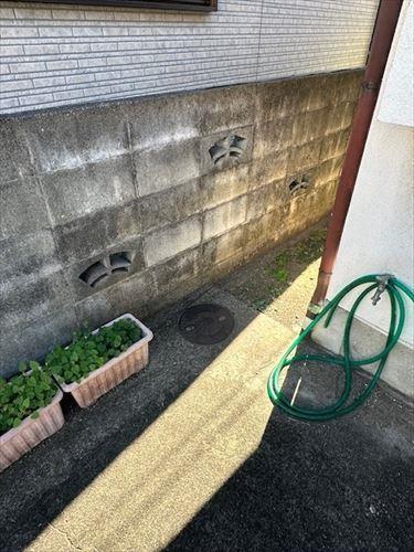 汚水桝【撮影年月：2025年10月】