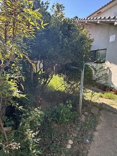 現地写真１【撮影年月：2025年10月】