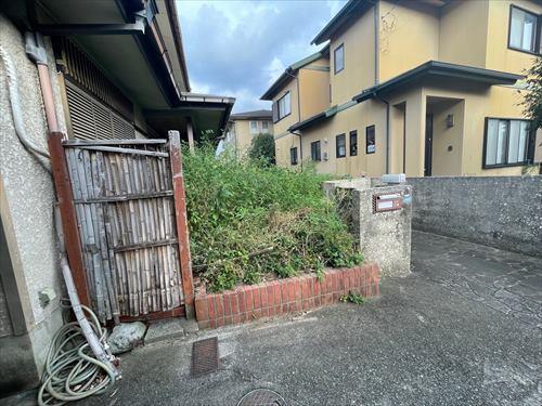 現地　撮影日：2025年10月