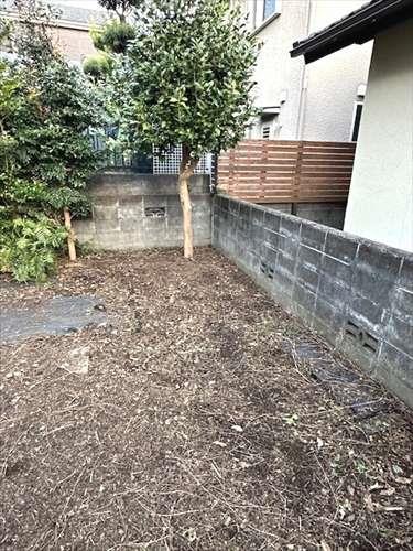 現地写真（南東側）※2025年11月撮影