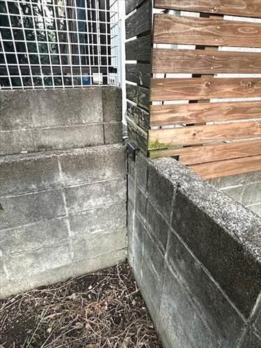 南東側境界付近　※2025年11月撮影