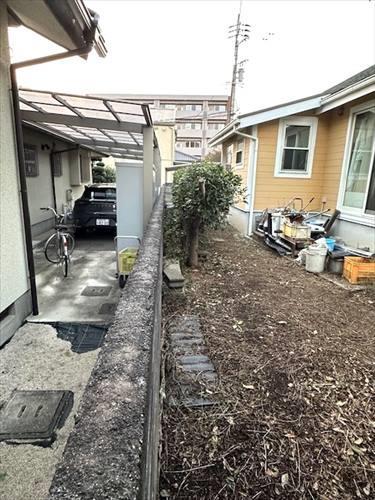 南側境界線付近　※2025年11月撮影