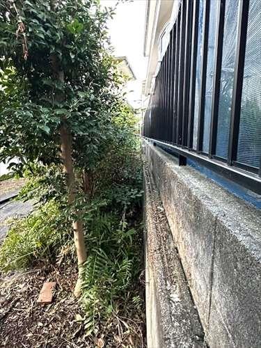 東側境界線付近　※2025年11月撮影