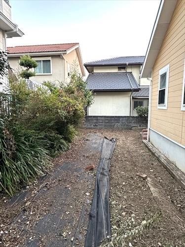 現地写真（東側）※2025年11月撮影