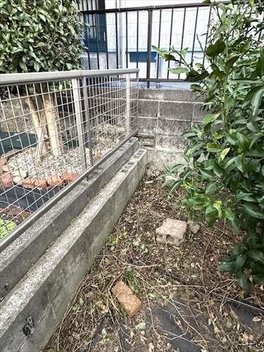 北東側境界付近　※2025年11月撮影