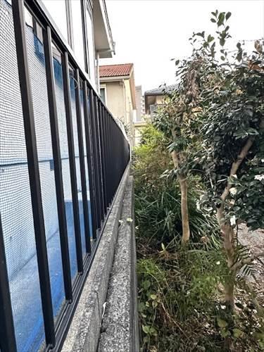 東側境界線付近　※2025年11月撮影