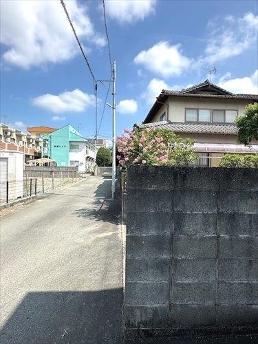 道路境界線付近 ※2025年11月撮影